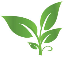 Organic Products Policy
