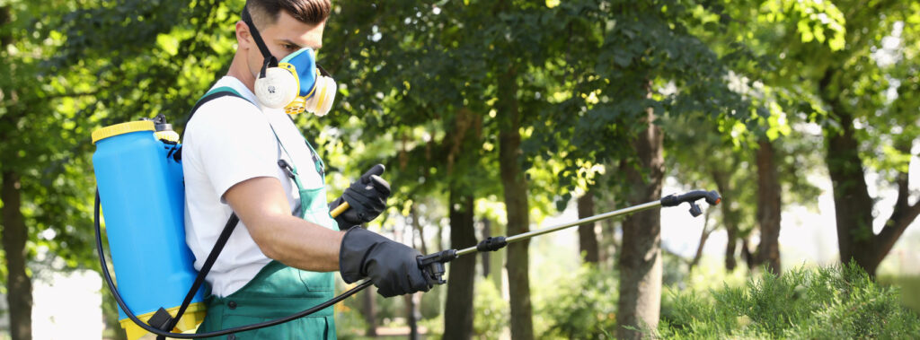 Worker spraying pesticide onto green bush outdoors. Pest control