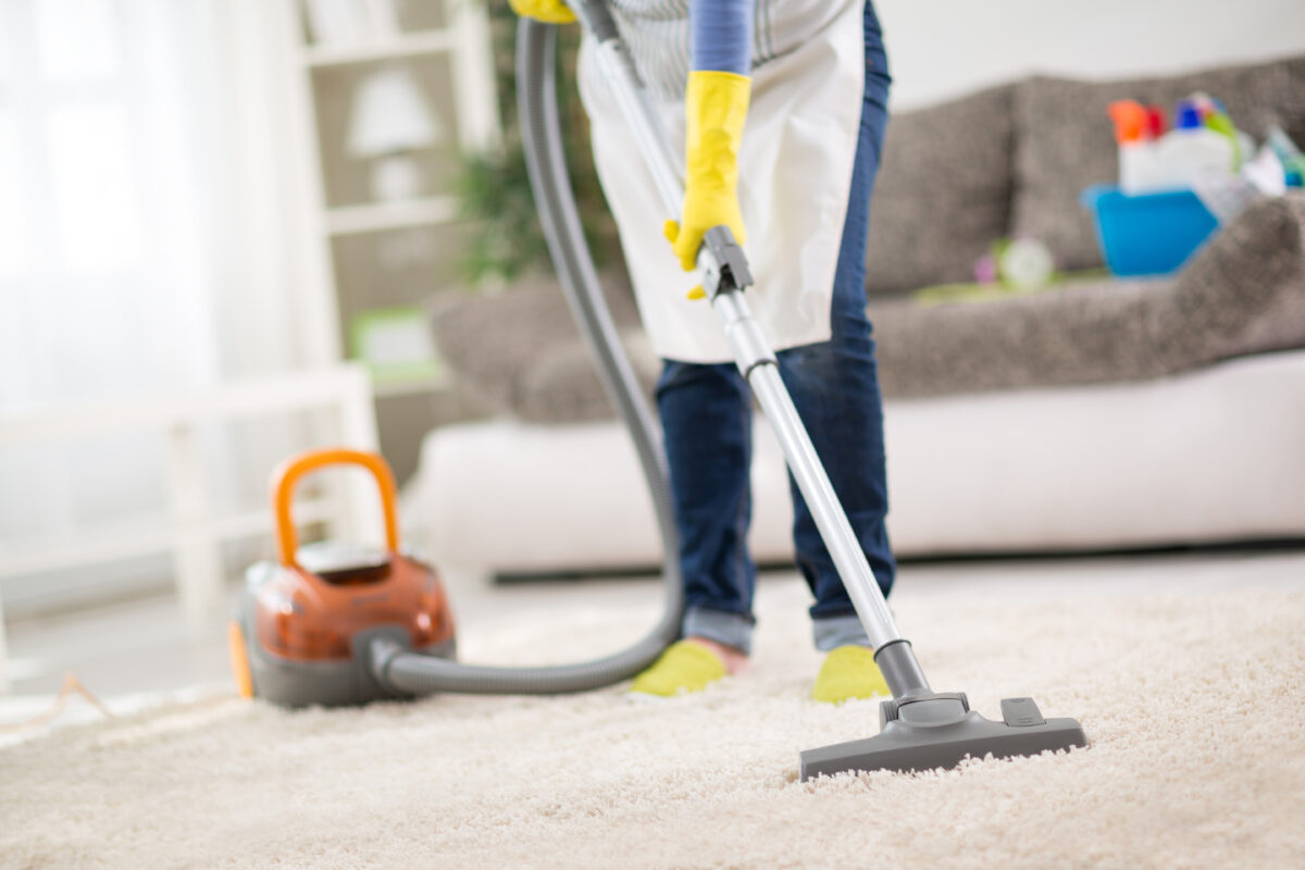 What to Expect After Pest Control Treatment