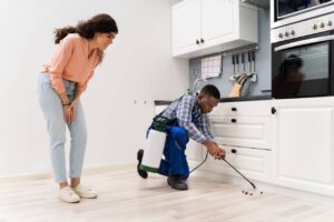 pest control man spraying roaches