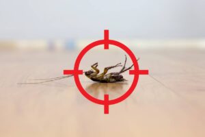 151357434_l (1) cockroach with red target on it
