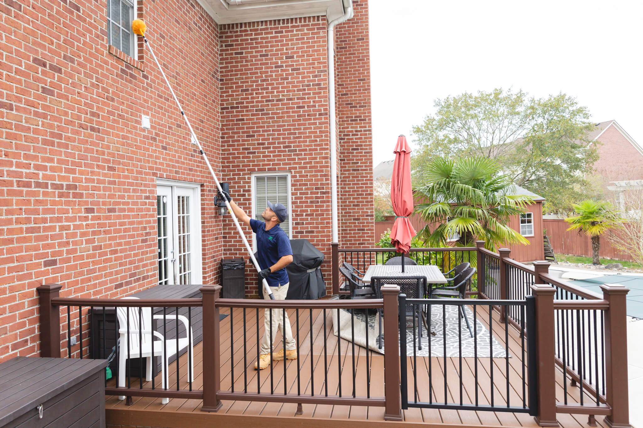 Mosquito Control Southern Pest Control