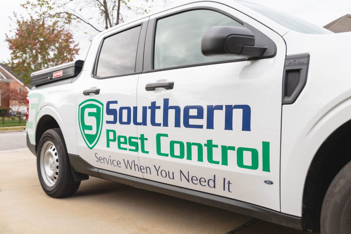 Columbia Pest Control Exterminators Southern Pest Control