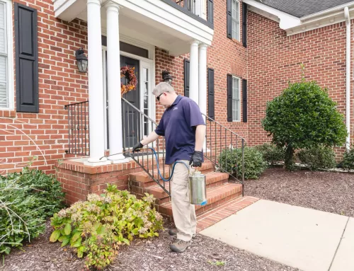 How Pest Control Contributes to a Healthier Home Environment